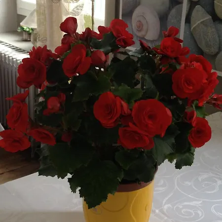 ホテル オテル ドゥ ヌヴェール 2*