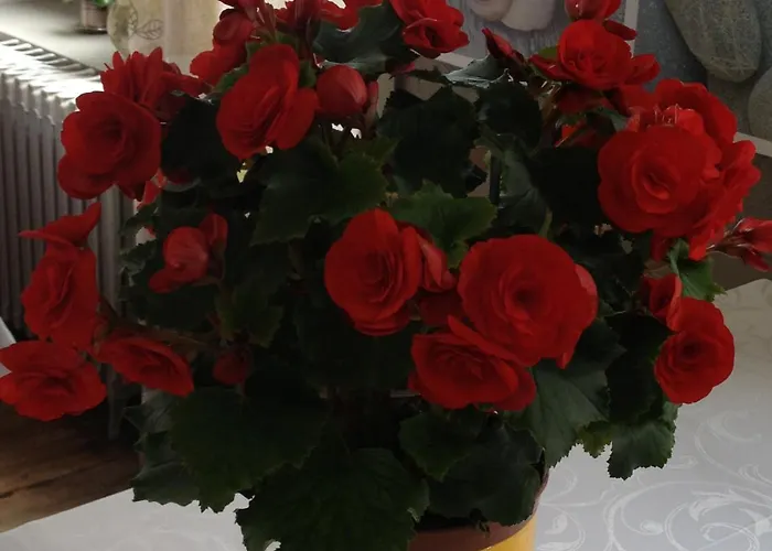 Отель De Nevers 2*